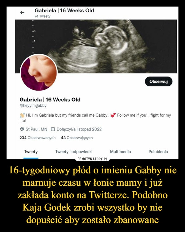 
    
16-tygodniowy płód o imieniu Gabby nie marnuje czasu w łonie mamy i już zakłada konto na Twitterze. Podobno Kaja Godek zrobi wszystko by nie dopuścić aby zostało zbanowane 