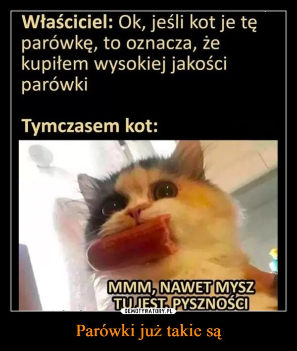 
    Parówki już takie są