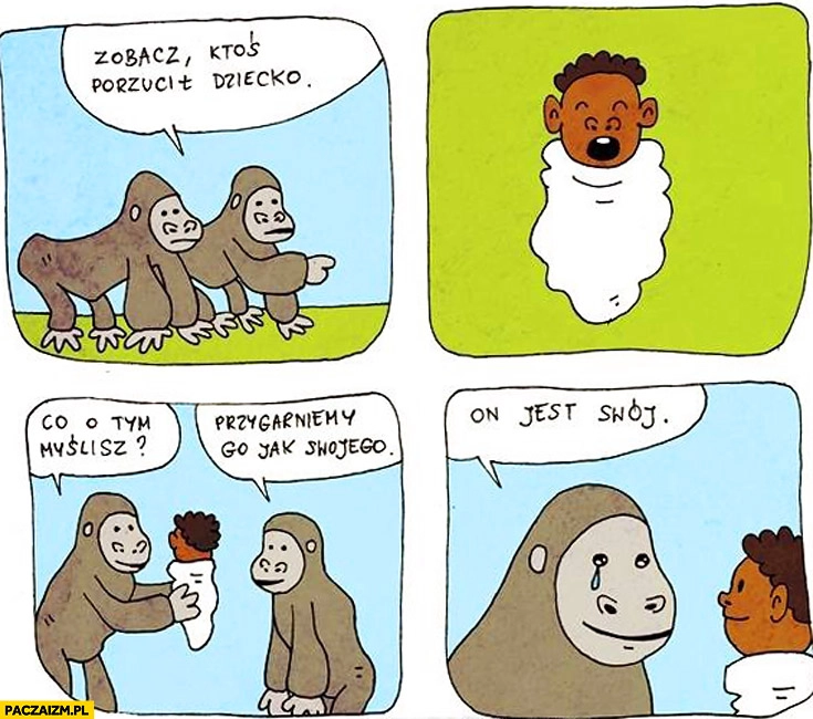 
    Zobacz ktoś podrzucił czarne dziecko małpy, przygarniemy go jak swojego, on jest swój