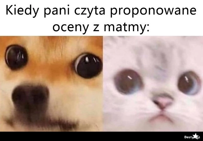 
    Oceny z matmy 