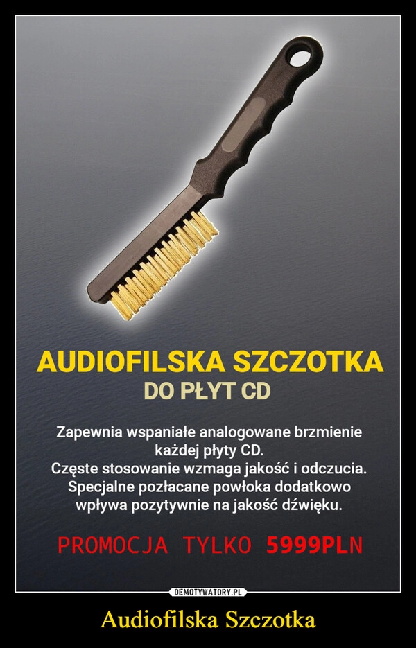 
    Audiofilska Szczotka