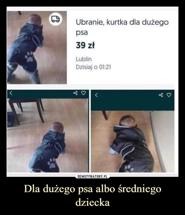 
    Dla dużego psa albo średniego dziecka