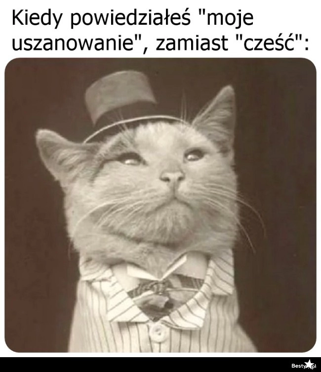 
    Przywitanie 