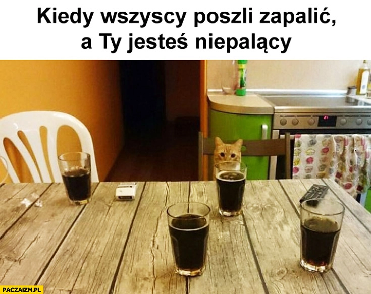 
    Kiedy wszyscy poszli zapalić a Ty jesteś niepalący kot przy stole sam