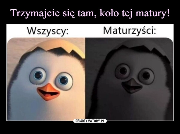 
    Trzymajcie się tam, koło tej matury!