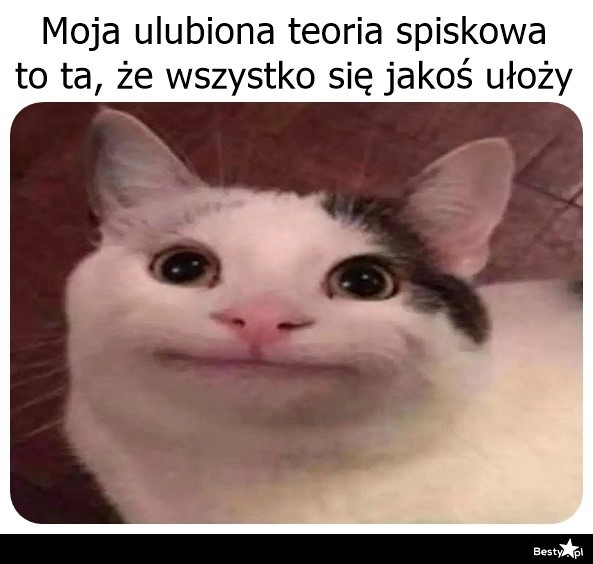 
    Zdecydowanie numer jeden 