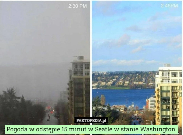 
    Pogoda w odstępie 15 minut w Seatle w stanie Washington.