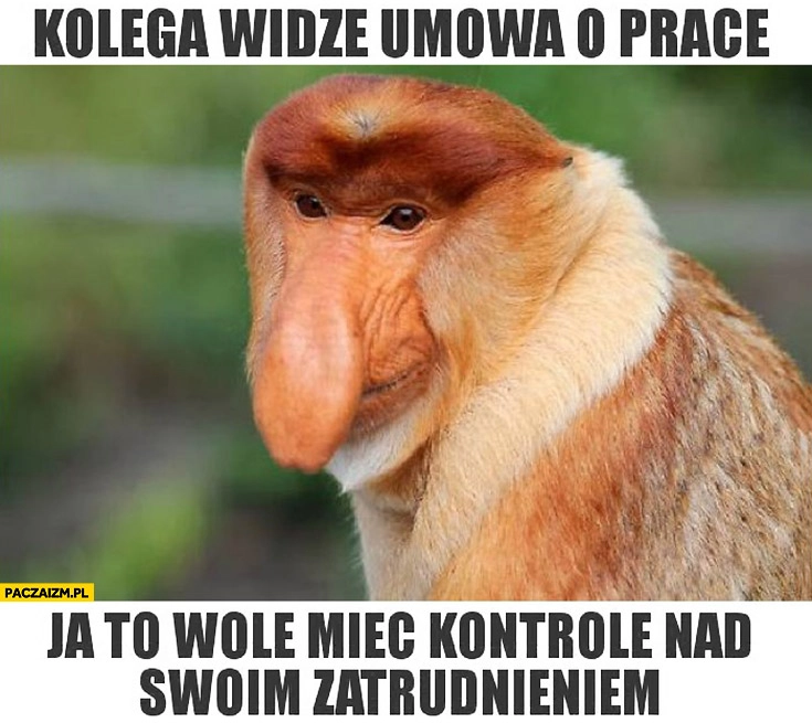 
    Kolega widzę umowa o pracę, ja to wolę mieć kontrolę nad swoim zatrudnieniem typowy Polak nosacz małpa