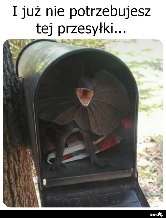 
    To ja przyjdę później 