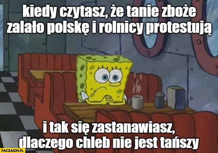 
    Spongebob kiedy czytasz, że tanie zboże zalało Polskę i rolnicy protestują i zastanawiasz się czemu chleb nie jest tańszy