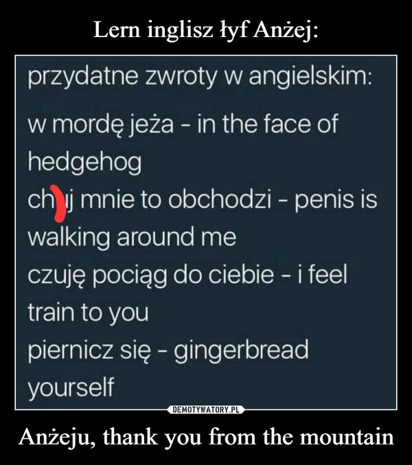 
    Lern inglisz łyf Anżej: Anżeju, thank you from the mountain