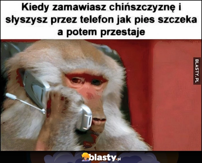 
    Małpa kiedy zamawiasz chińszczyznę i słyszysz przez telefon jak pies szczeka a potem przestaje