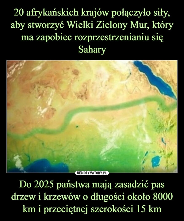 
    20 afrykańskich krajów połączyło siły, aby stworzyć Wielki Zielony Mur, który ma zapobiec rozprzestrzenianiu się Sahary Do 2025 państwa mają zasadzić pas drzew i krzewów o długości około 8000 km i przeciętnej szerokości 15 km 