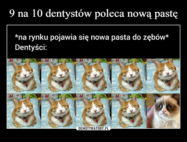 
    9 na 10 dentystów poleca nową pastę