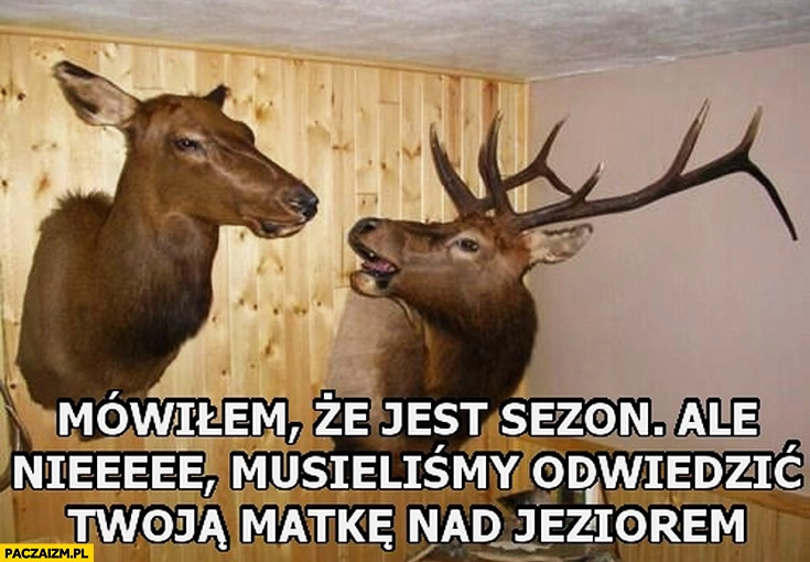 
    Mówiłem że jest sezon ale nie, musieliśmy odwiedzić Twoją matkę nad jeziorem