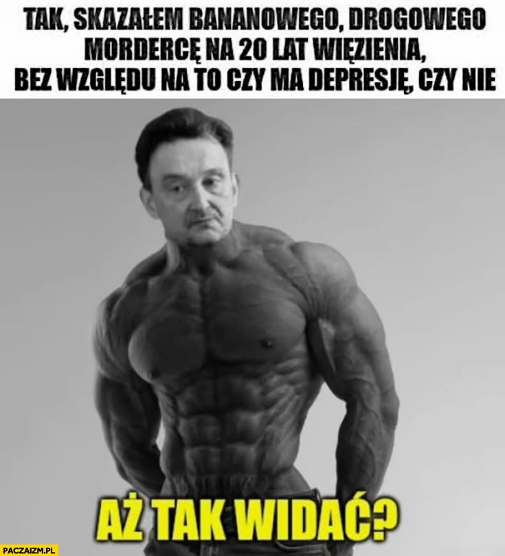 
    Sędzia Maciej Mitera tak skazałem drogowego morderce na 20 lat więzienia aż tak widać?