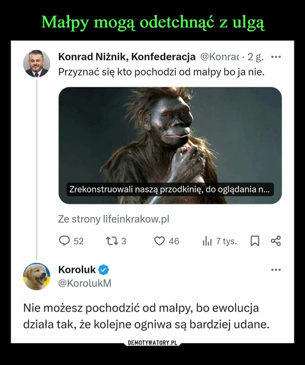 
    Małpy mogą odetchnąć z ulgą