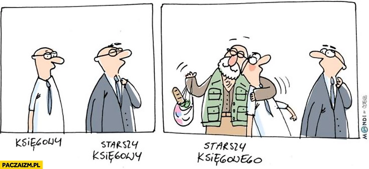 
    Księgowy, starszy księgowy, starszy księgowego Wilq