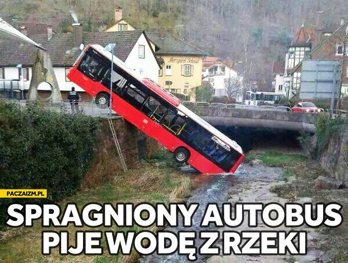 
    Spragniony autobus pije wodę z rzeki