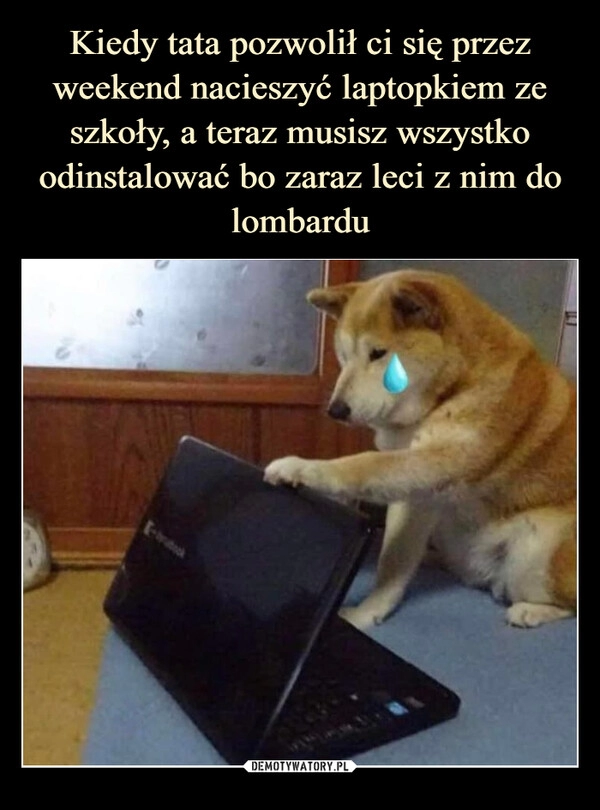 
    Kiedy tata pozwolił ci się przez weekend nacieszyć laptopkiem ze szkoły, a teraz musisz wszystko odinstalować bo zaraz leci z nim do lombardu