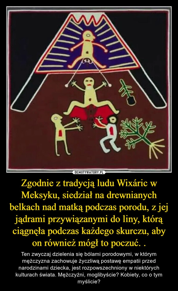 
    Zgodnie z tradycją ludu Wixáric w Meksyku, siedział na drewnianych belkach nad matką podczas porodu, z jej jądrami przywiązanymi do liny, którą ciągnęła podczas każdego skurczu, aby on również mógł to poczuć. .