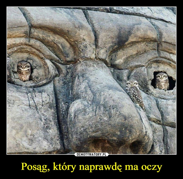 
    Posąg, który naprawdę ma oczy