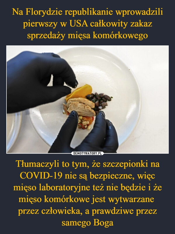 
    Na Florydzie republikanie wprowadzili pierwszy w USA całkowity zakaz sprzedaży mięsa komórkowego Tłumaczyli to tym, że szczepionki na COVID-19 nie są bezpieczne, więc mięso laboratoryjne też nie będzie i że mięso komórkowe jest wytwarzane 
przez człowieka, a prawdziwe przez samego Boga