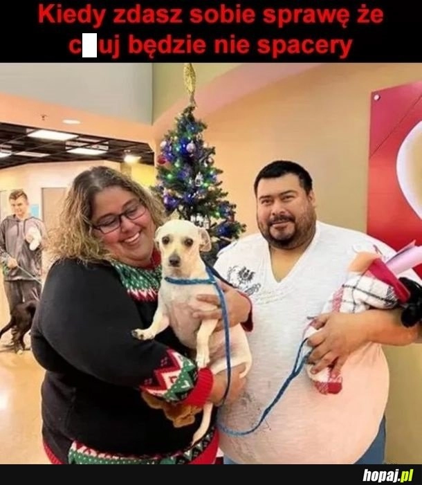 
    Spacery spacerami, bidula się martwi, że go pożro