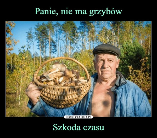 
    Panie, nie ma grzybów Szkoda czasu