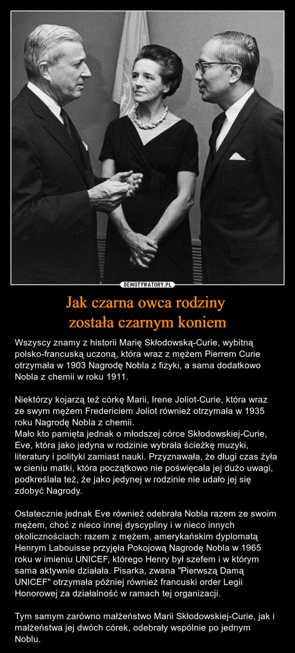 
    Jak czarna owca rodziny 
została czarnym koniem