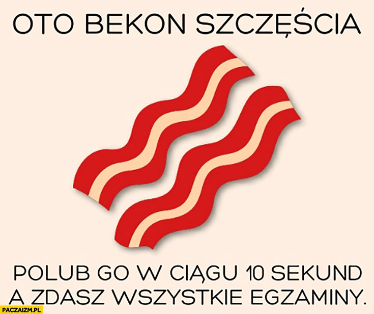 
    Oto bekon szczęścia, polub go a w ciągu 10 sekund zdasz wszystkie egzaminy