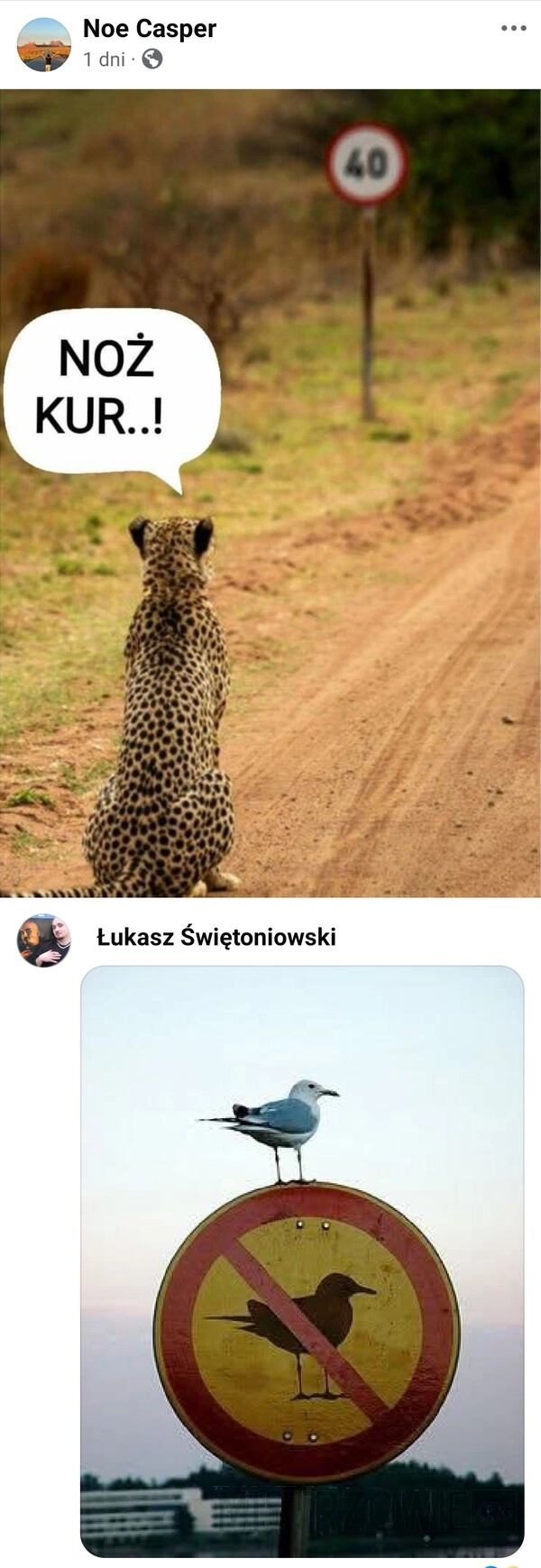 
    Zakaz
