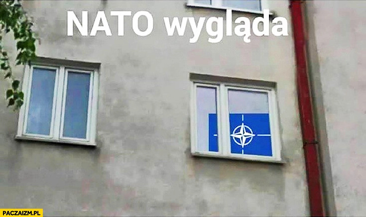 
    NATO wygląda przez okno