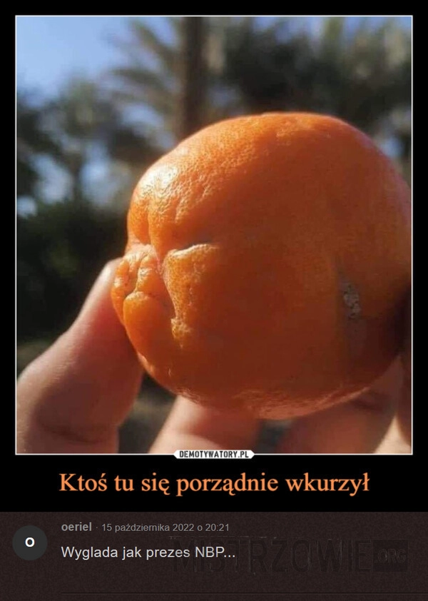 
    Pomarańcza