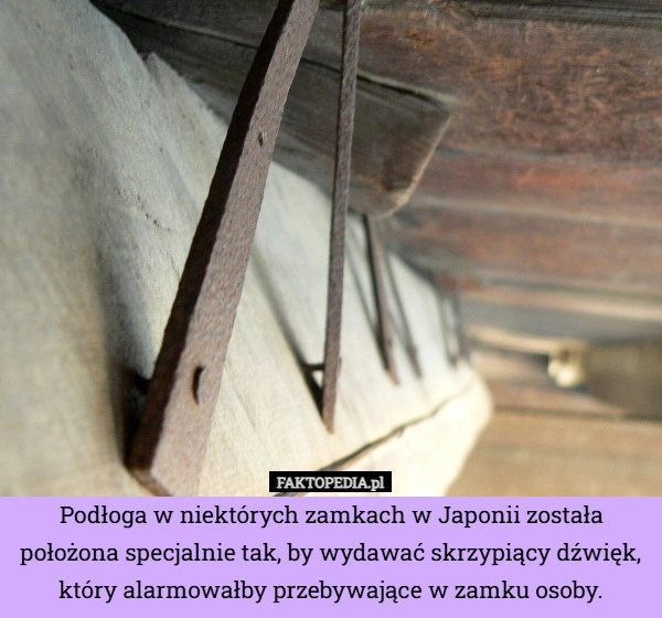 
    Podłoga w niektórych zamkach w Japonii została położona specjalnie tak,