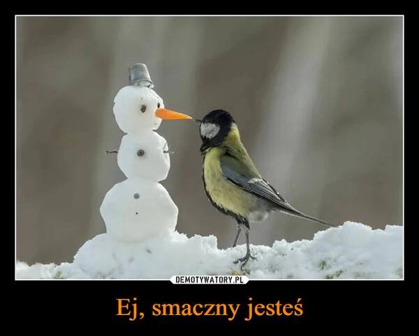 
    Ej, smaczny jesteś