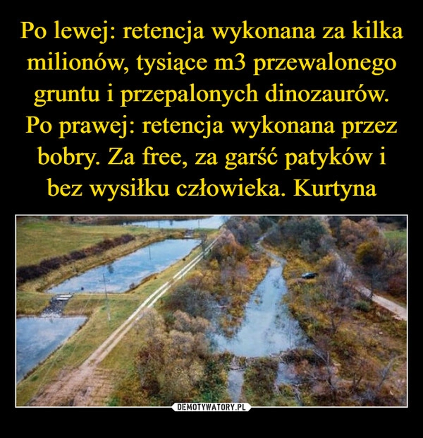 
    Po lewej: retencja wykonana za kilka milionów, tysiące m3 przewalonego gruntu i przepalonych dinozaurów. Po prawej: retencja wykonana przez bobry. Za free, za garść patyków i bez wysiłku człowieka. Kurtyna