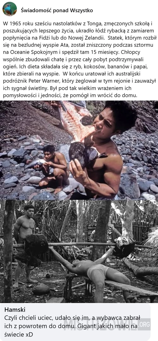 
    Ata