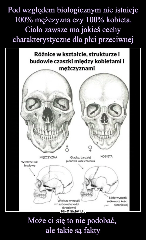 
    Pod względem biologicznym nie istnieje 100% mężczyzna czy 100% kobieta. Ciało zawsze ma jakieś cechy charakterystyczne dla płci przeciwnej Może ci się to nie podobać, 
ale takie są fakty