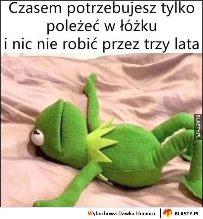 
    Kermit czasem potrzebujesz tylko poleżeć w łóżku i nic nie robić przez trzy lata