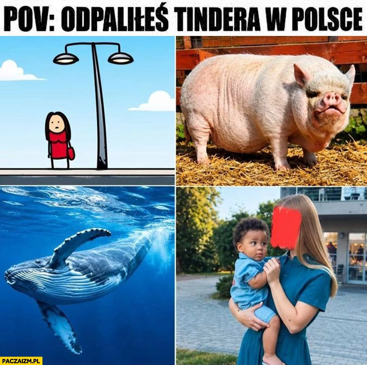 POV odpaliłeś tindera w Polsce 4 typy kobiet