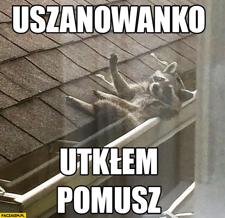 
    Uszanowanko utkłem pomóż szop pracz w rynnie