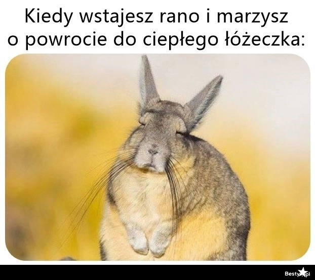 
    Można tylko pomarzyć 