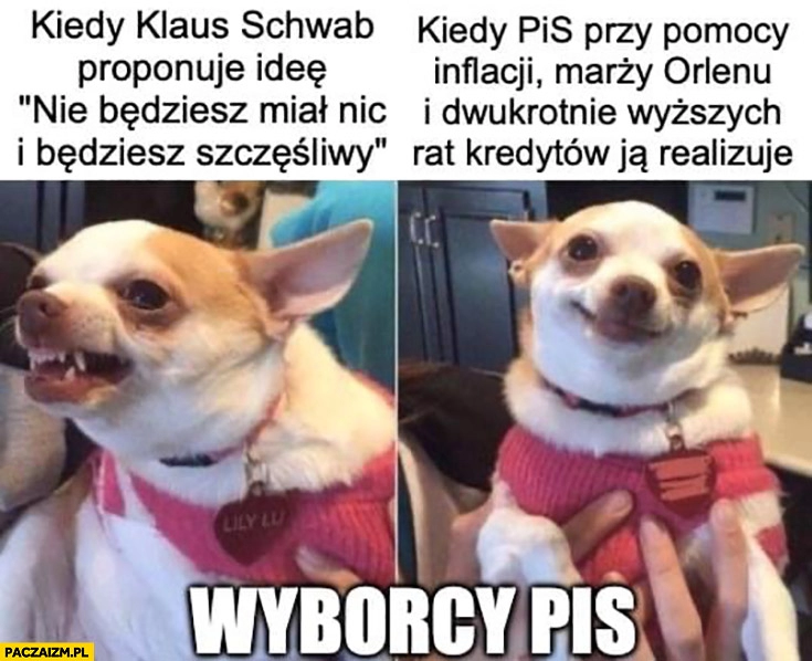 
    Wyborcy PiS kiedy Klaus Schwab proponuje ideę nie będziesz miał nic i będziesz szczęśliwy vs kiedy PiS przy pomocy inflacji, marży Orlenu, rat kredytów ją realizuje pies piesek