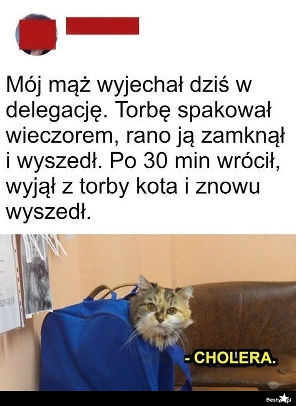 
    Wyjazd w delegację 