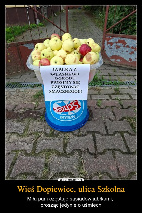 
    Wieś Dopiewiec, ulica Szkolna