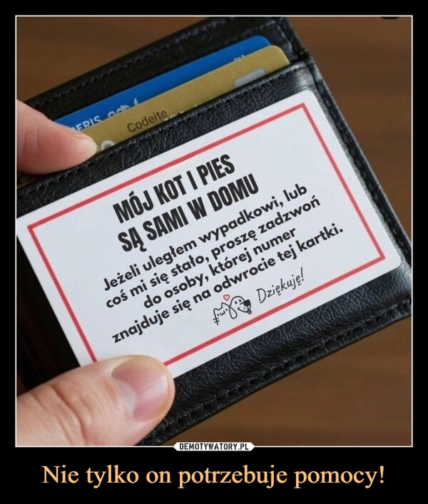 
    Nie tylko on potrzebuje pomocy!