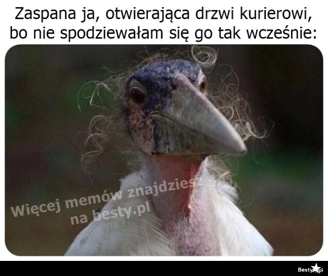 
    A pan co tak wcześnie? 