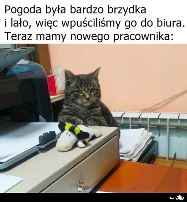 
    Nowy pracownik 