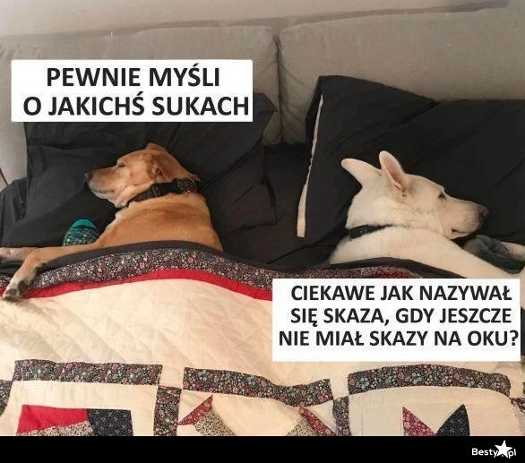 
    Jego myśli 